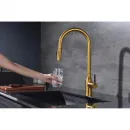 Смеситель для кухни Paulmark Universal Un213880-BG с подключением к фильтру, выдвижным изливом, золотой матовый