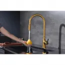 Смеситель для кухни Paulmark Universal Un213880-BG с подключением к фильтру, выдвижным изливом, золотой матовый