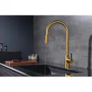 Смеситель для кухни Paulmark Universal Un213880-BG с подключением к фильтру, выдвижным изливом, золотой матовый