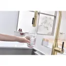 Смеситель для кухни Paulmark Universal Un213880-SBG с подключением к фильтру, выдвижным изливом, светлое золото матовый