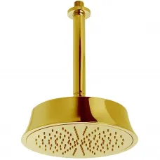 Верхний душ 220 мм Cisal Shower DS01328024